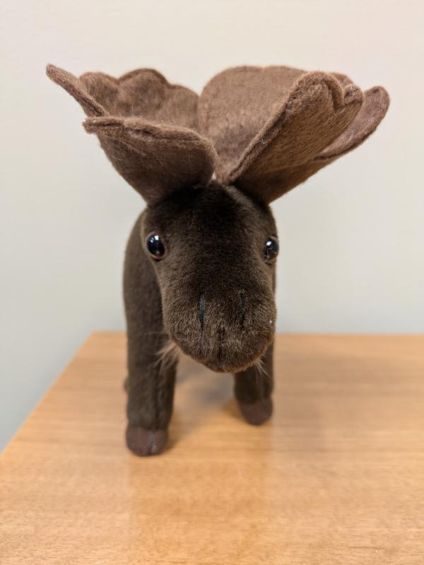 mary moose avatar